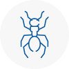 Ant Removals In Wrexham