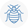 Bed Bug Extermination In Wrexham