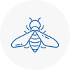 Bee Nest Removal Wrexham