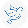 Bird Prevention Wrexham