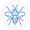 Wrexham Hornet Nest Removals