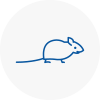 Mice Exterminators In Wrexham