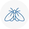 Moth Control Specialists In Wrexham