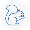 Wrexham Rodent Removals